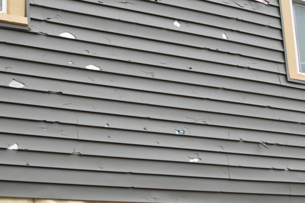 Affordable Siding Repair and Maintenance Services in Homeland Park, SC